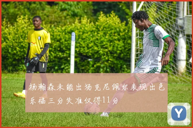 杨瀚森未能出场克尼佩尔表现出色乐福三分失准仅得11分